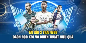 Tài Xỉu 3 Trái W88 - Cách Đọc Kèo Và Chiến Thuật Hiệu Quả